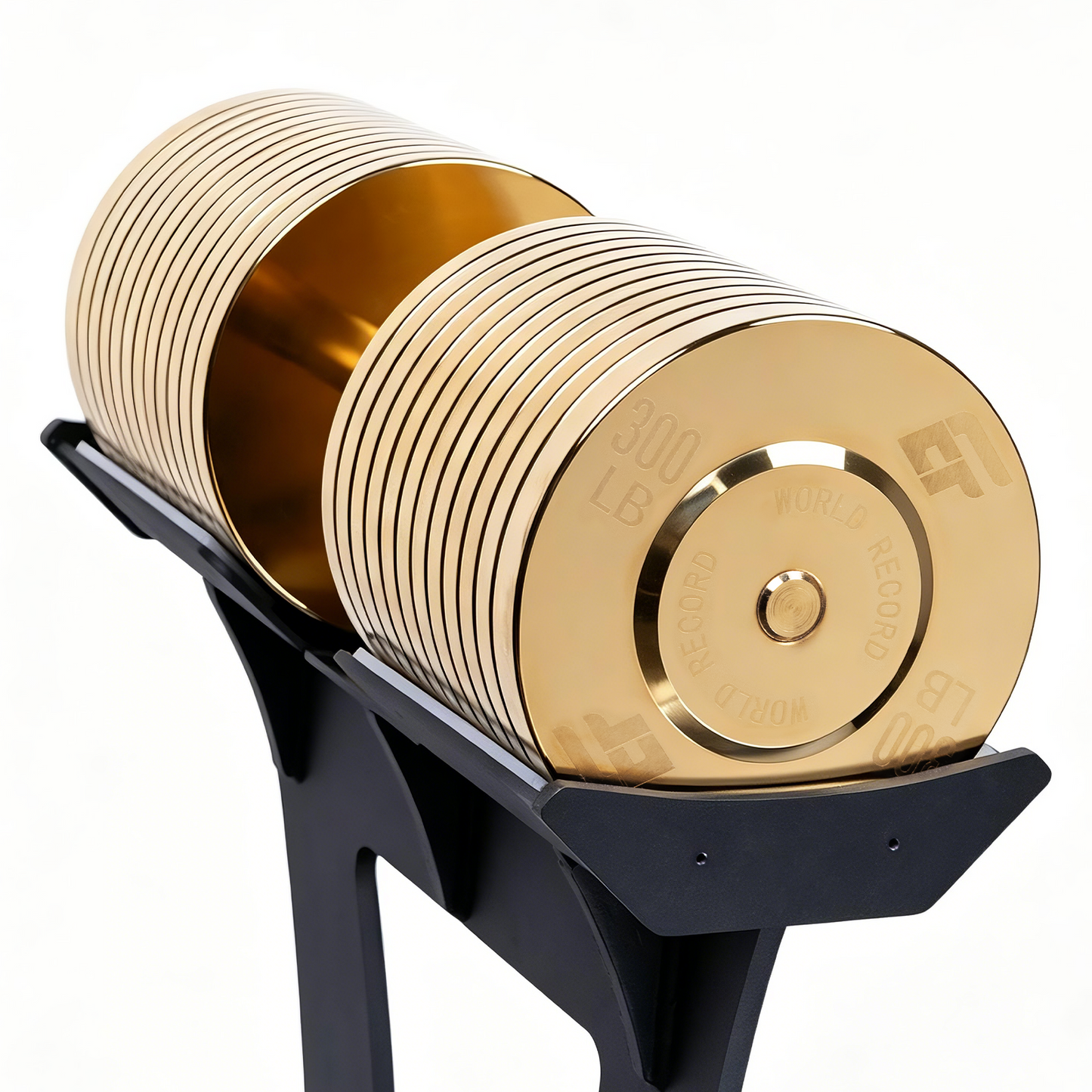 ERGOLIFE 300 LB Heavy-Duty Commercial Dumbbell (Stand Not Included)