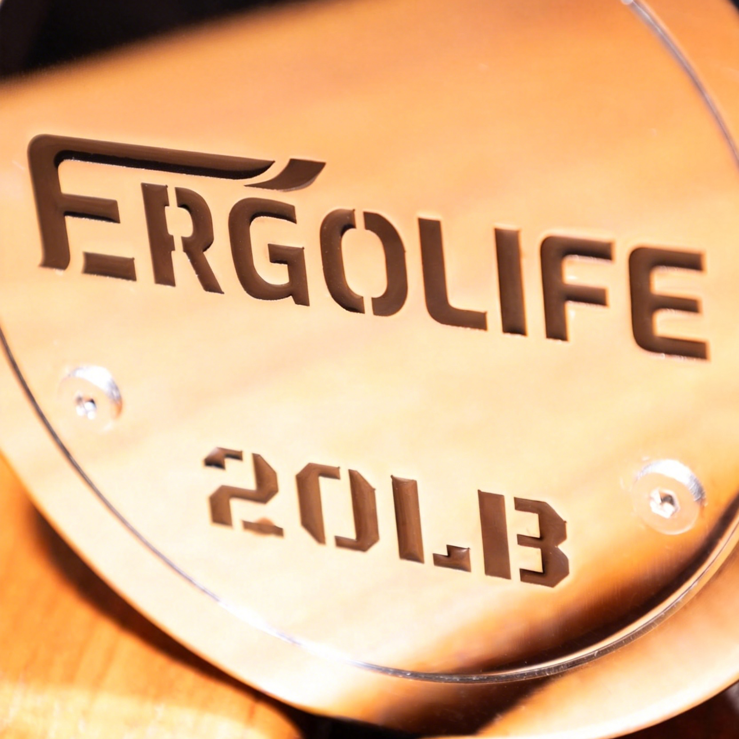 ERGOLIFE Premium Round Chrome Dumbbell Set