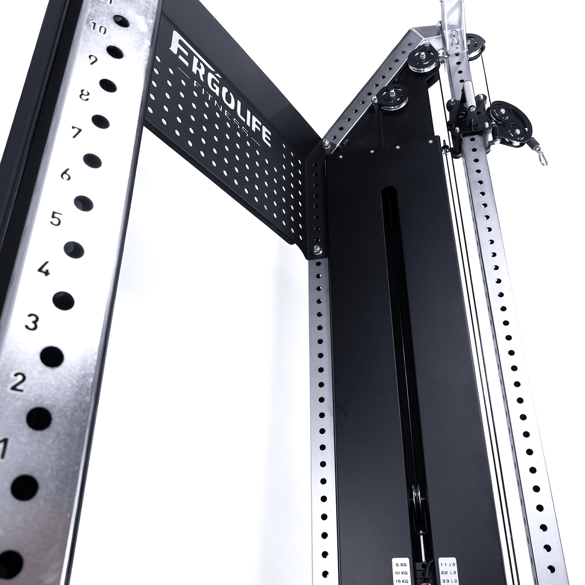 ERGOLIFE FCORE ANGLE | Angled Functional Trainer