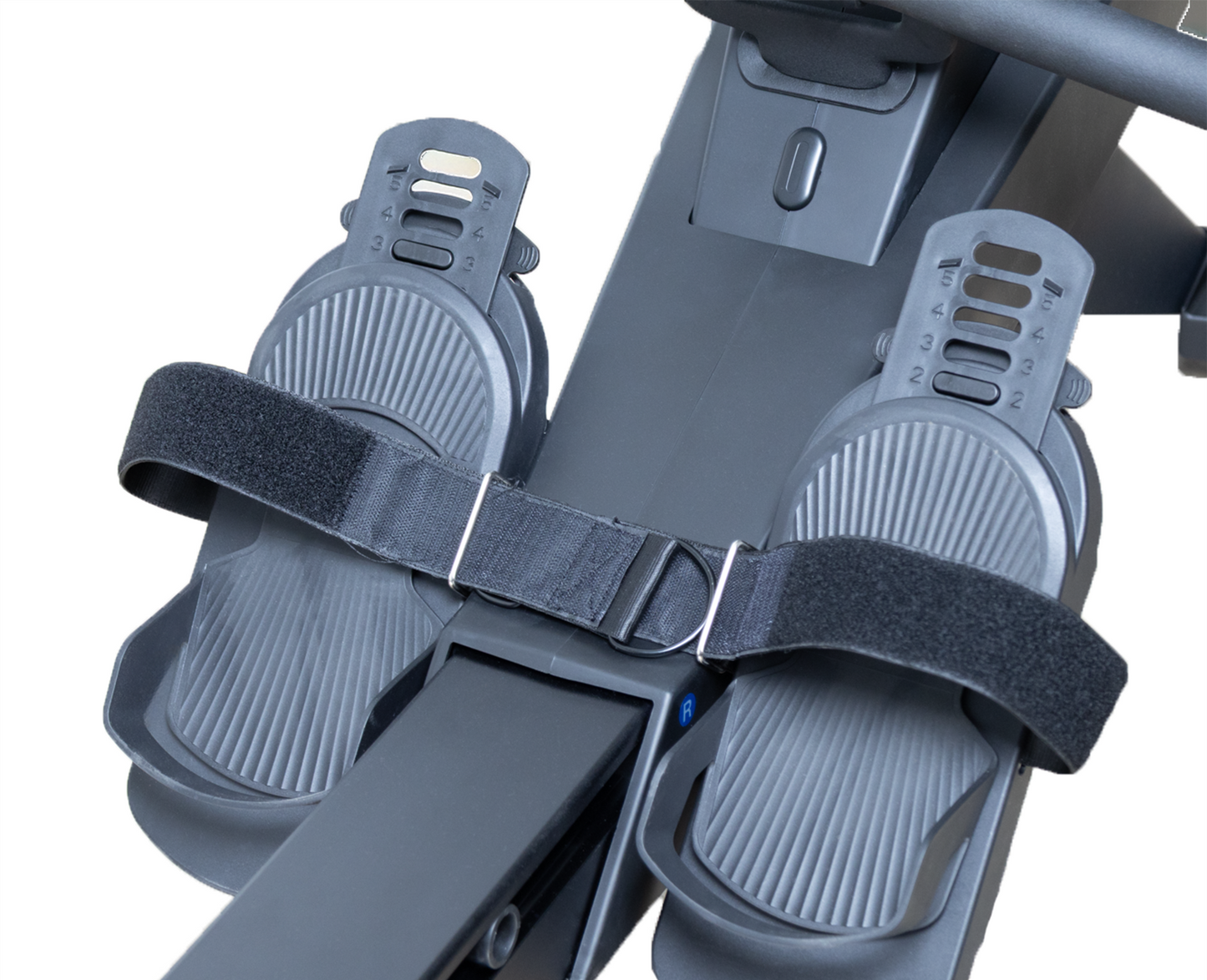 ERGOLIFE 205E-M Magnetic Rowing Machine