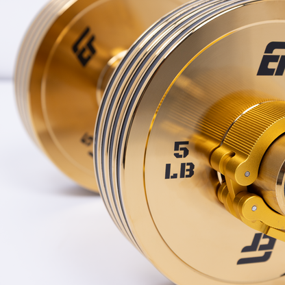ERGOLIFE Pro-Series Adjustable Dumbbell - Gold