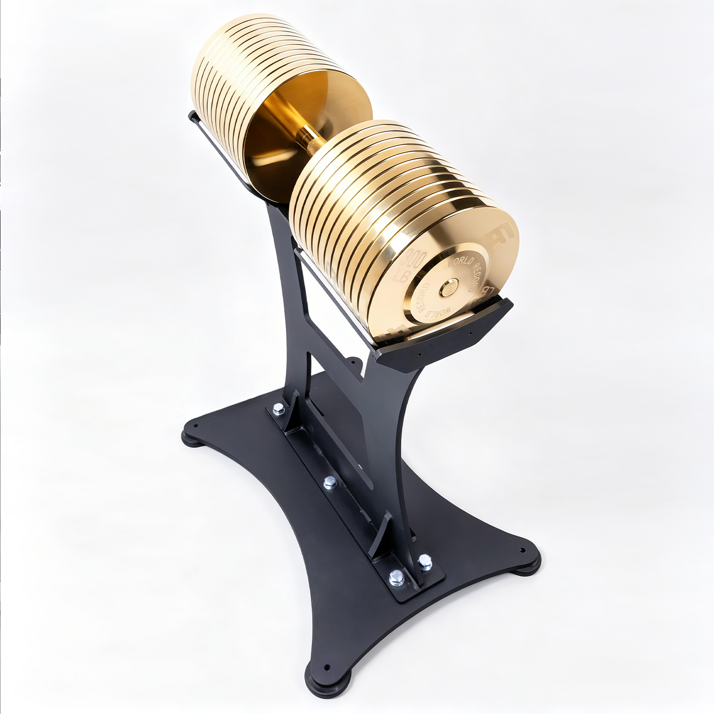 ERGOLIFE 300 LB Heavy-Duty Commercial Dumbbell (Stand Not Included)