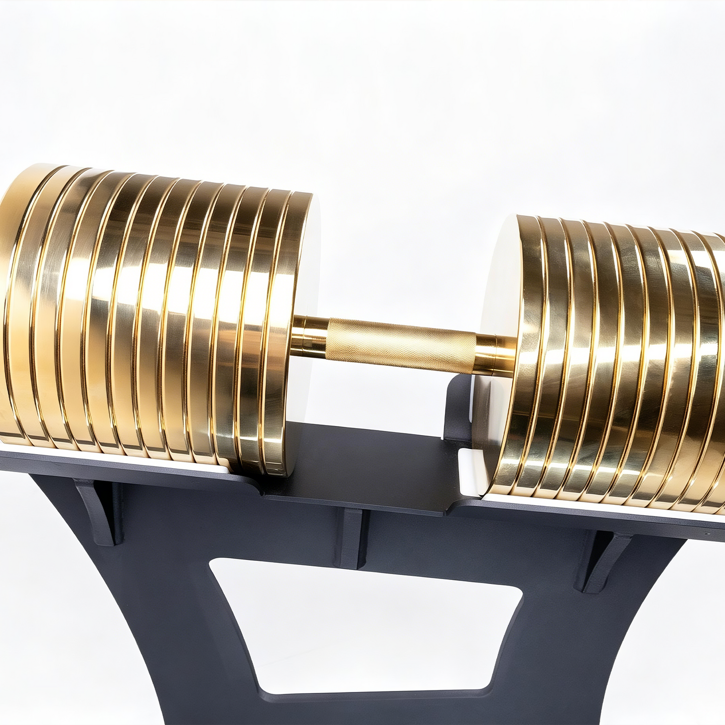 ERGOLIFE 300 LB Heavy-Duty Commercial Dumbbell (Stand Not Included)