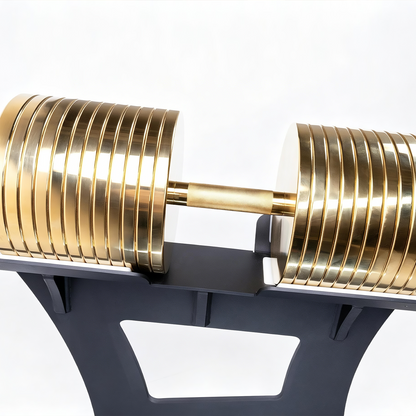 ERGOLIFE 300 LB Heavy-Duty Commercial Dumbbell (Stand Not Included)