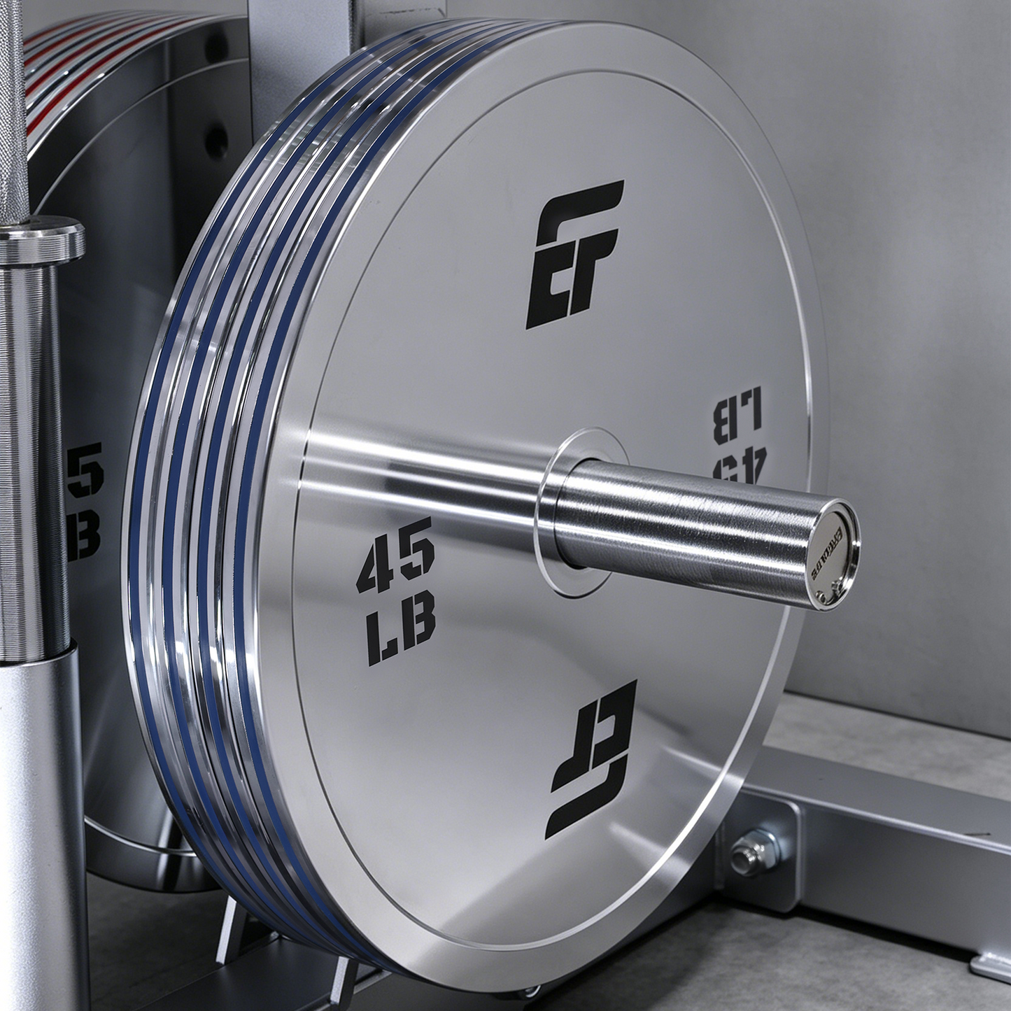 ERGOLIFE Forged Steel Vertical Plate Organizer (Storage Rack Only)