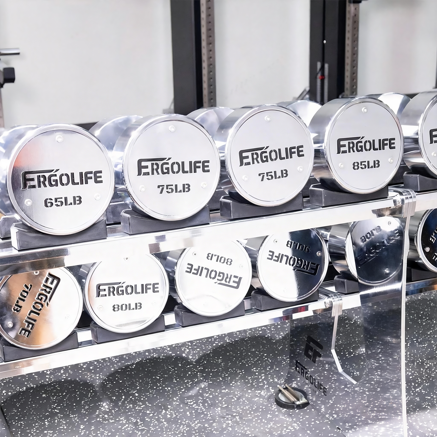 ERGOLIFE Premium Round Chrome Dumbbell Set