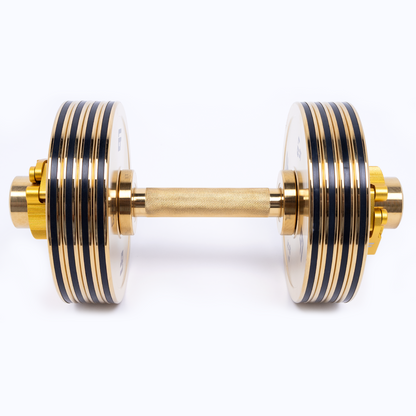 ERGOLIFE Pro-Series Adjustable Dumbbell - Gold