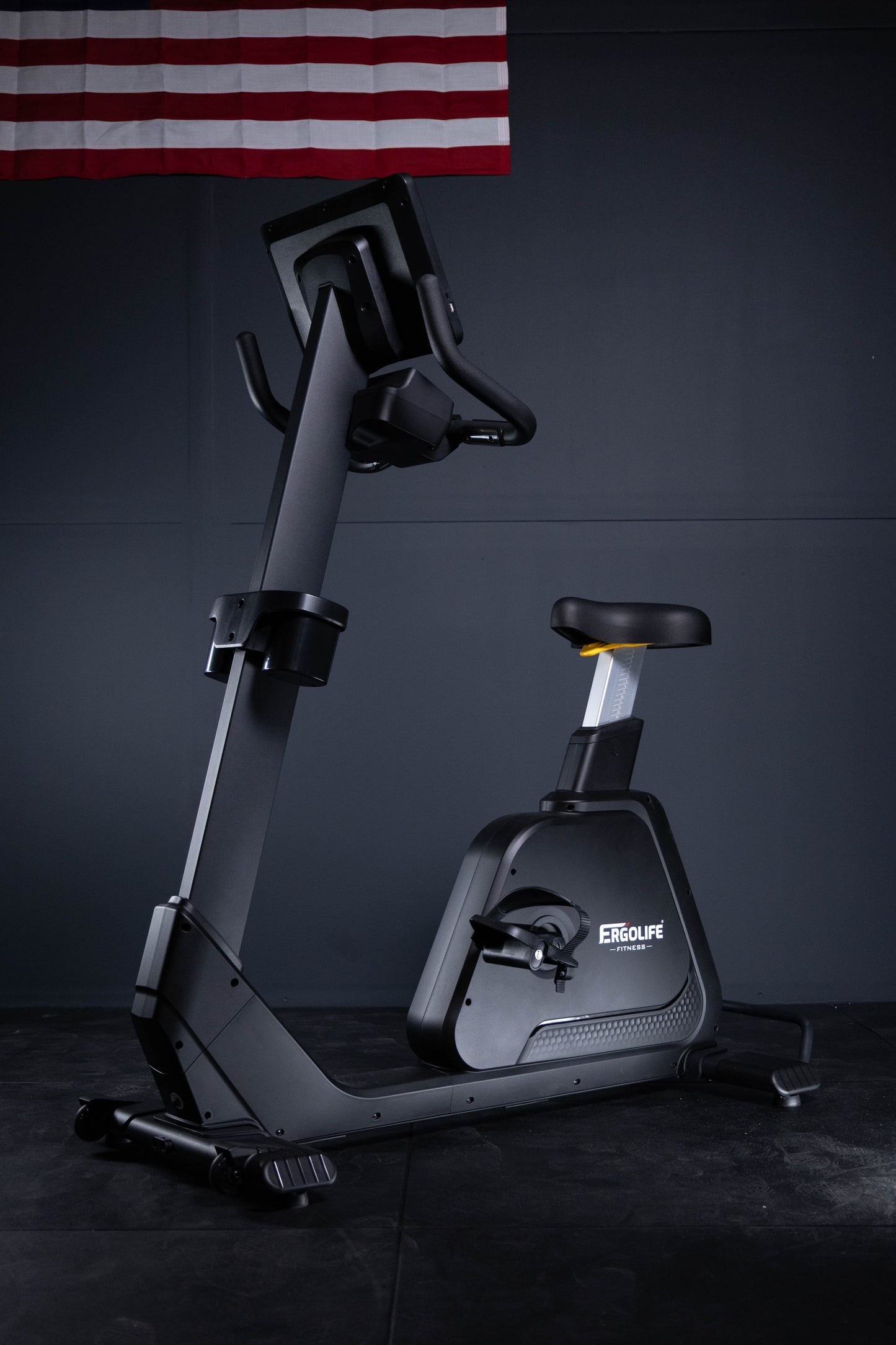 ERGOLIFE BU201E Recumbent Exercise Bike