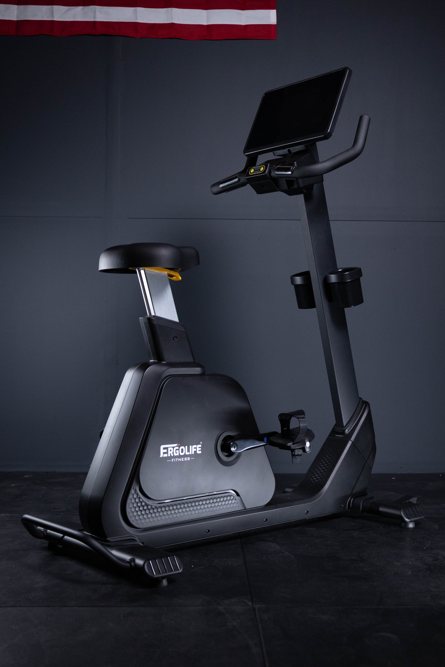 ERGOLIFE BU201E Recumbent Exercise Bike