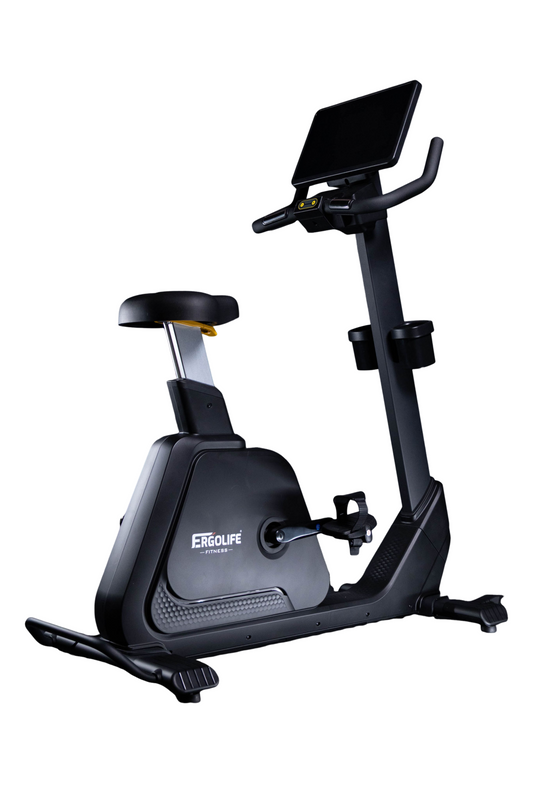 ERGOLIFE BU201E Recumbent Exercise Bike