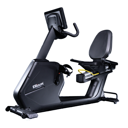 ERGOLIFE BR201E Recumbent Exercise Bike