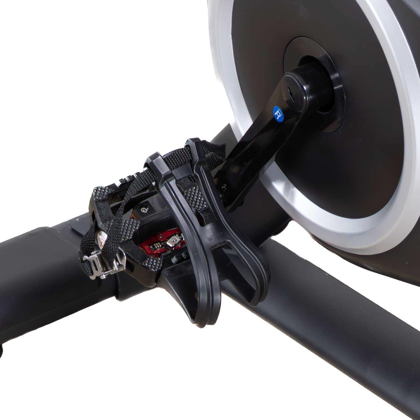 ERGOLIFE 305M Spin Bike